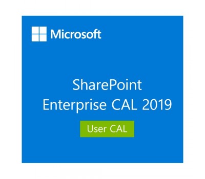 Лицензия Microsoft SharePoint Enterprise 2019 User CAL (DG7GMGF0F4LV0002)